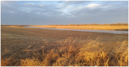 Photo of a channel with a levee