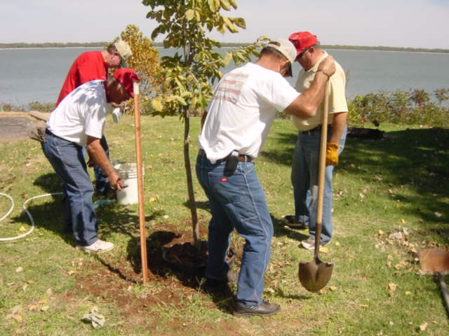 Planting trees