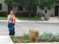 Watering